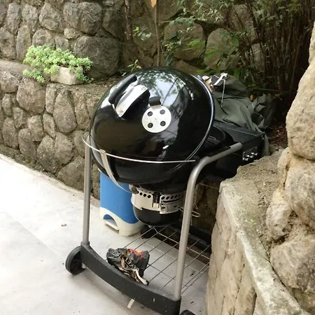 House Vali ベッド・アンド・ブレックファスト ロヴラン