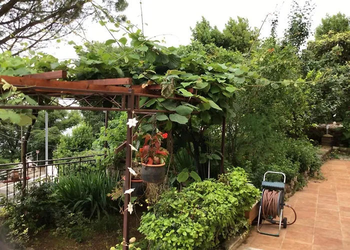 House Vali Отель типа 