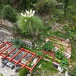 House Vali Bed and Breakfast 4*