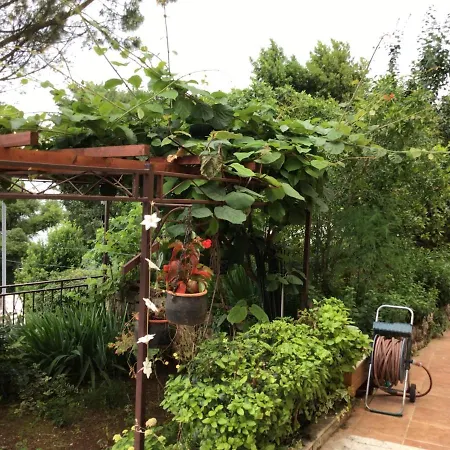 House Vali Bed & Breakfast 3*