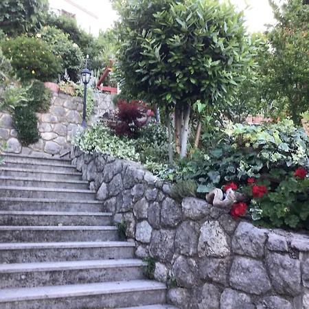 Bed and Breakfast House Vali 3*