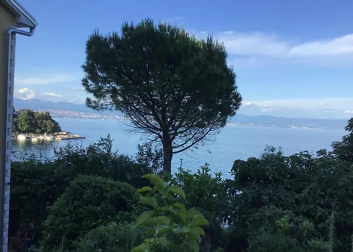 House Vali 로브란